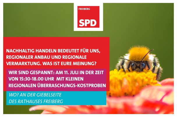 Infostand 11. Juli 2020